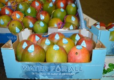 New branding from Continental Fresh. The box and water drop label signify Continental Fresh’ investment in building water projects in South America.